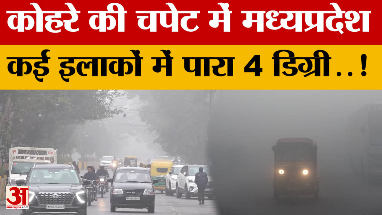 MP Weather Report : स्कूल बंद, ट्रेनें लेट..मध्य प्रदेश में कोहरा-शीतलहर ने बरपाया कहर