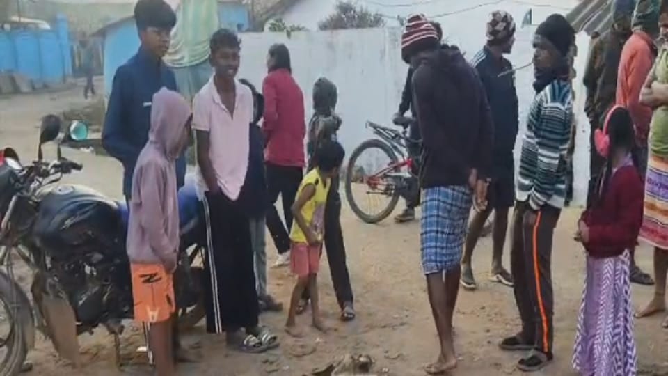 A hyena was killed in Narayanpur after being hit by an unknown vehicle