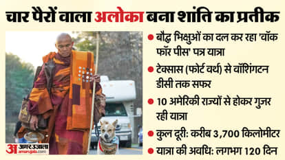 A 3700 km peace walk in the US, 'Aloka - the Peace Dog' from India made headlines