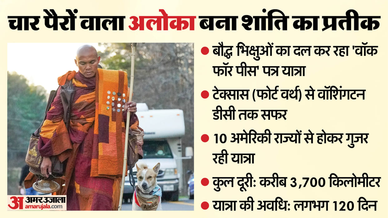 A 3700 km peace walk in the US, 'Aloka - the Peace Dog' from India made headlines