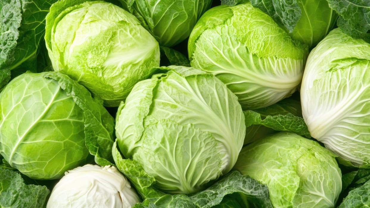 How to Remove Pests from Cabbage Naturally patta gobhi saaf karne ka sahi tarika