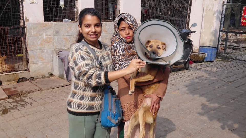 Farha was reunited with her dog Monty following DM order; she had appealed for help to get her dog back