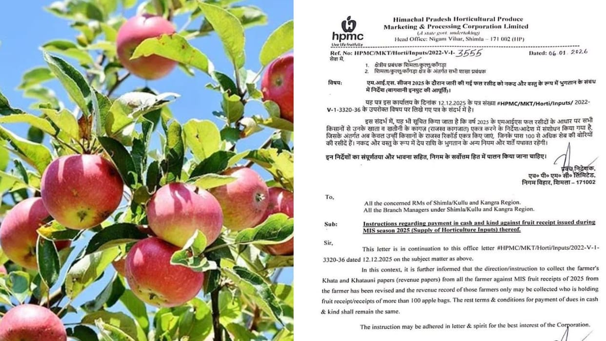 small apple growers selling through MIS no revenue documents required for consignments less than 100 bags
