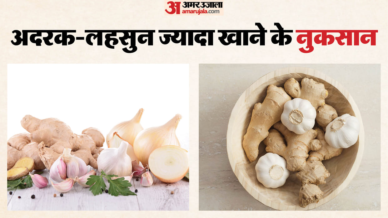 Health Tips: Excess Ginger and Garlic Impact Risk of Serious Diseases All You need to Know