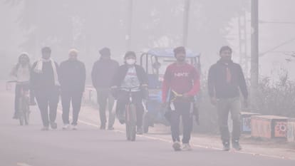 Prayagraj Weather: Cold turns harsh, cold wave increases melting, icy westerly winds disrupt life