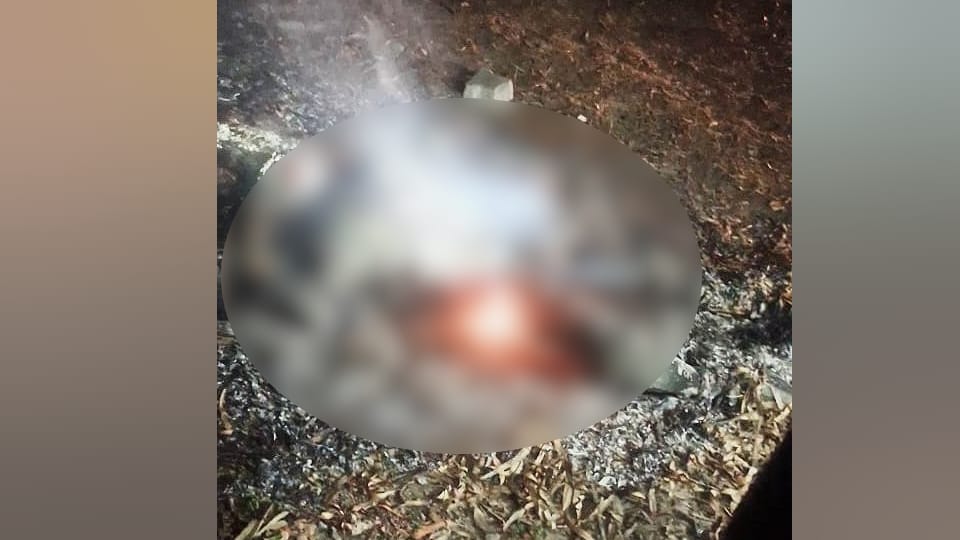 UP Friendship formed after dispute over music in tempo then killed him body was burned in dry leaves in meerut