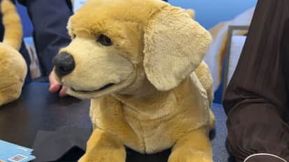 ces 2026 tombot jennie robotic puppy mental health companion