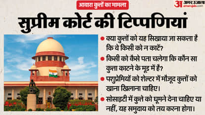 Supreme Court Stray dog case update Justice Vikram Nath Sandeep Mehta and NV Anjaria if want to take buffalo