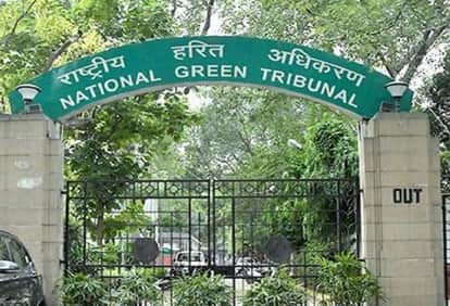 Bhopal News: Tree felling on Ayodhya bypass halted; NGT stops hearing until Supreme Court's decision; stay ord