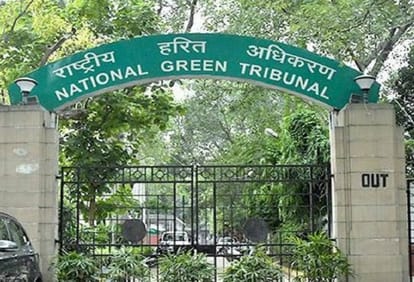 Bhopal News: Tree felling on Ayodhya bypass halted; NGT stops hearing until Supreme Court's decision; stay ord