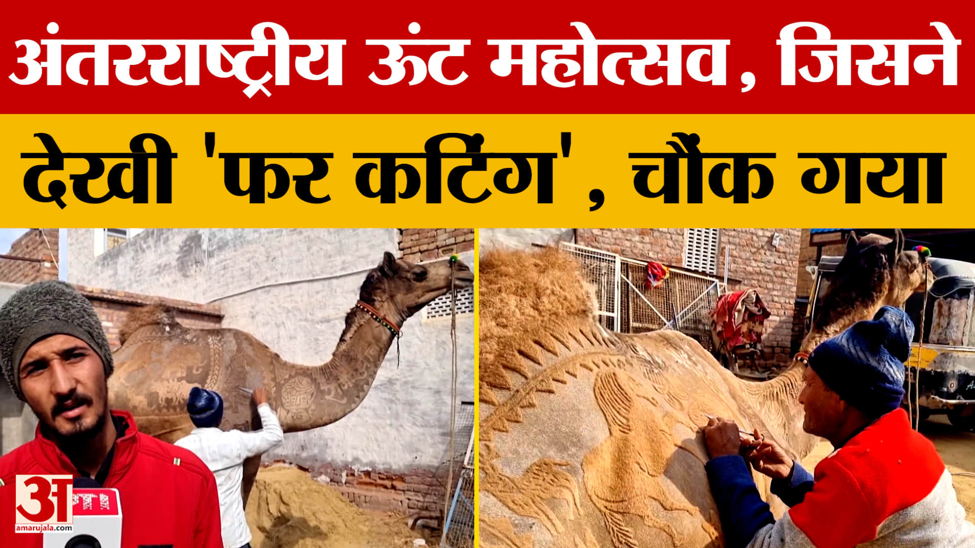 Bikaner: अंतरराष्ट्रीय ऊंट महोत्सव का बीकानेर में आयोजन, उंटों पर 'फर कटिंग', देखते ही चौंक जाएंगे।