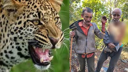 Uttarkashi News leopard attacked two villagers who were grazing their goats near the Yamunotri highway