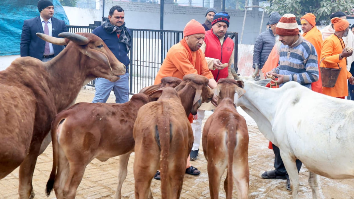 UP Government Cow Protection to Village Empowerment Economy rising NSA CM Yogi Adityanath news and updates