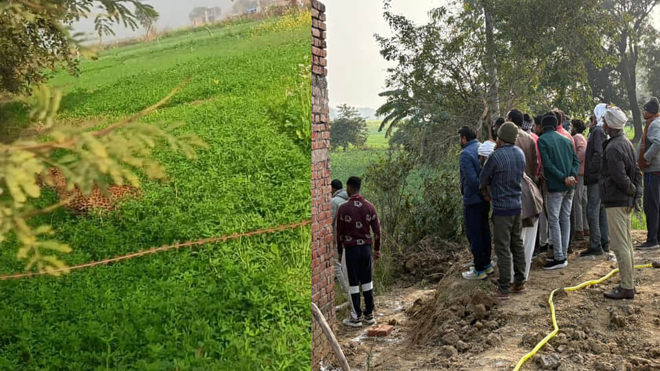 खेत में तेंदुआ दिखने से गांव में दहशत