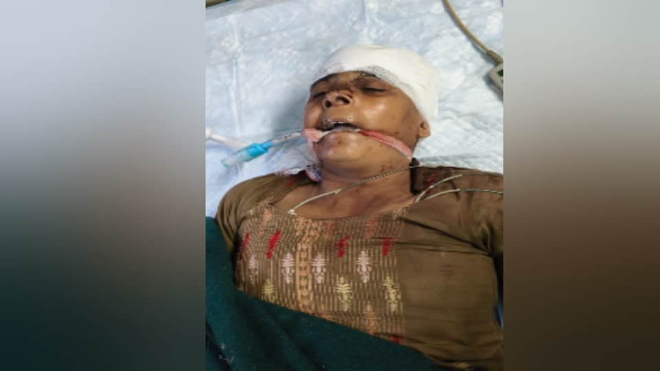 Woman Seriously Injured in Axe Attack, Minor Girl Taken Away in Sardhana