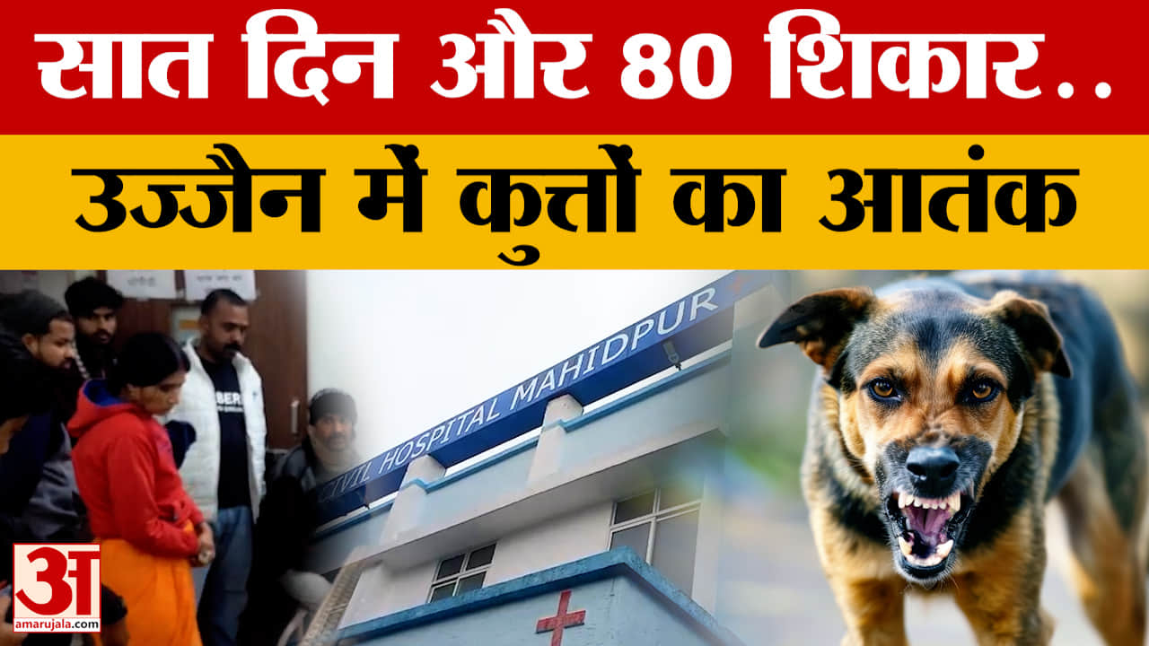 MP News सात दिन में 80 लोगों को बनाया शिकार, उज्जैन में छाया कुत्तों का आतंक