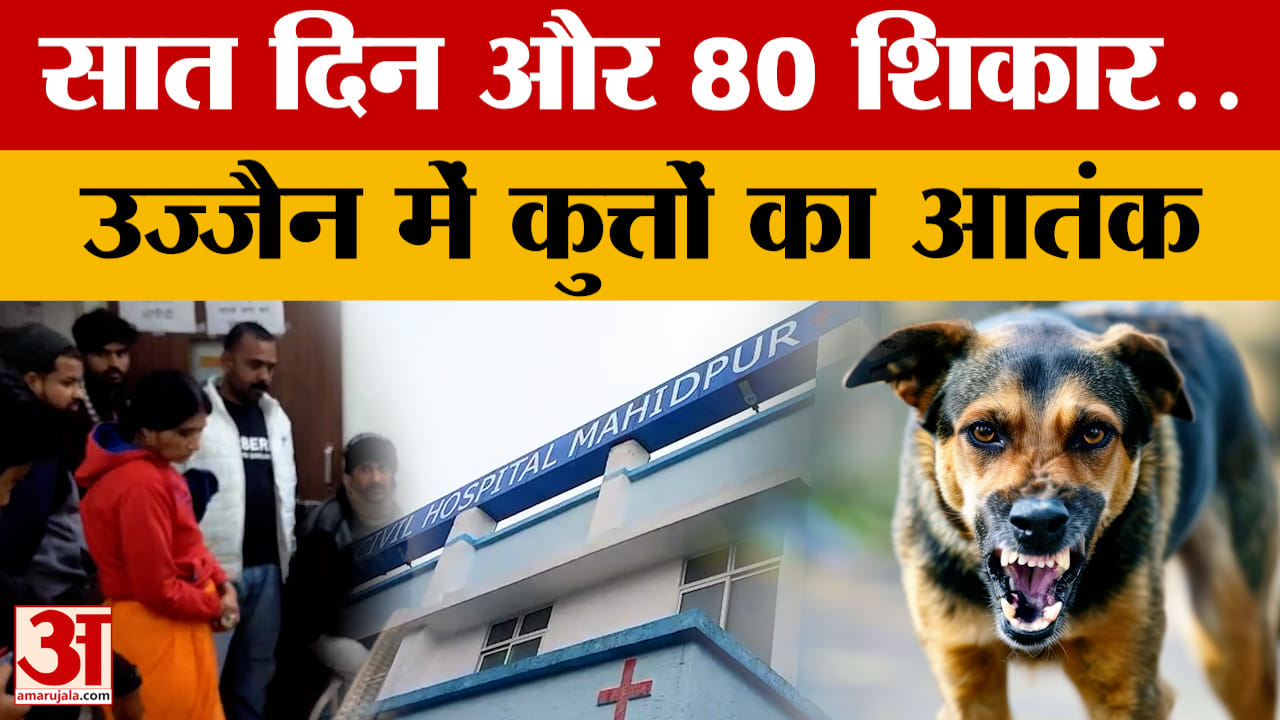 MP News सात दिन में 80 लोगों को बनाया शिकार, उज्जैन में छाया कुत्तों का आतंक
