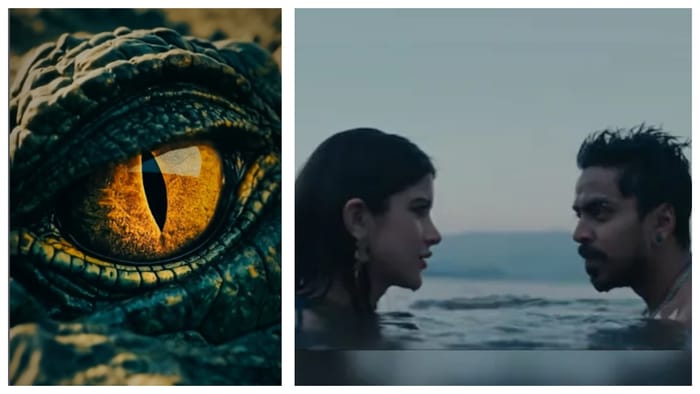 Upcoming Bollywood Releases In February 2026: Shahid Kapoor's O'Romeo To Taapsee Pannu's Assi