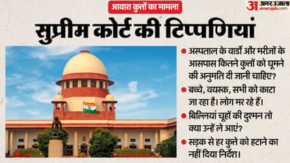 supreme court stray dog case update justice vikram nath sandeep mehta nv anjaria promote Cats enemy of rodents