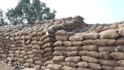 More than 40 lakh quintals of paddy are piled up at 182 centers in Mahasamund