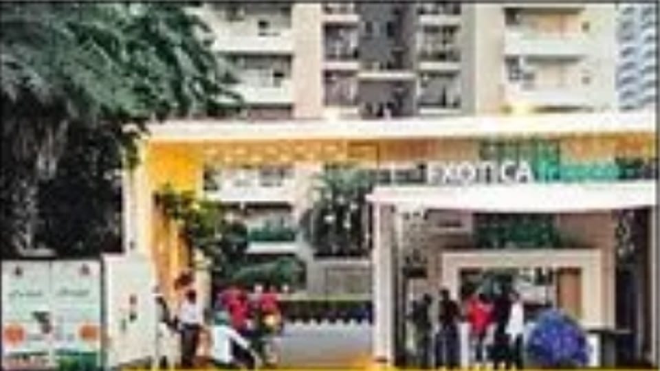 Three high-rise societies in Noida become stray dogs free