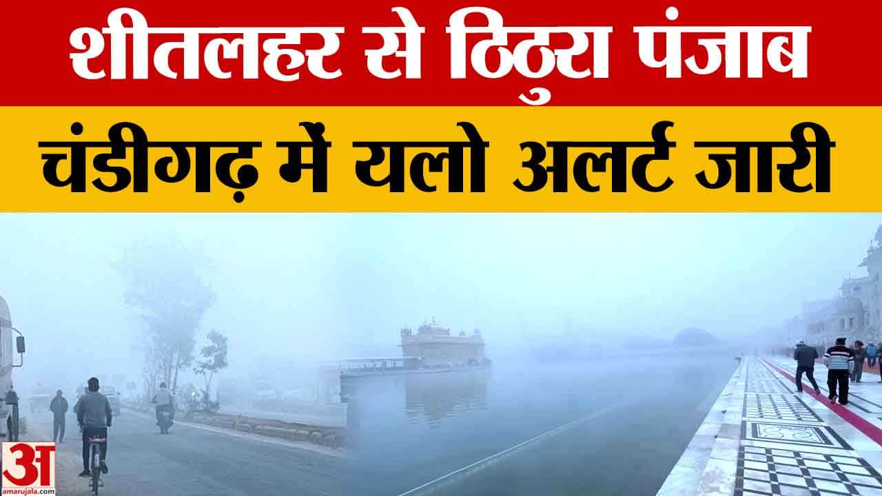 पंजाब में घना कोहरा व कड़ाके की ठंड, चंडीगढ़ में यलो अलर्ट हुआ जारी