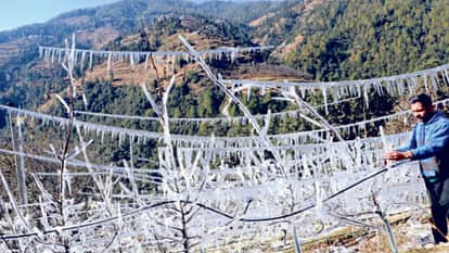 Himachal Weather: Cold wave intensifies, water stagnates in pipes, night temperatures dip below freezing in 12