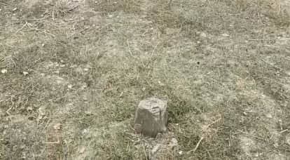 Farrukhabad Hundreds of rosewood trees felled in Katri Dharmpur DFO says responsible will held accountable