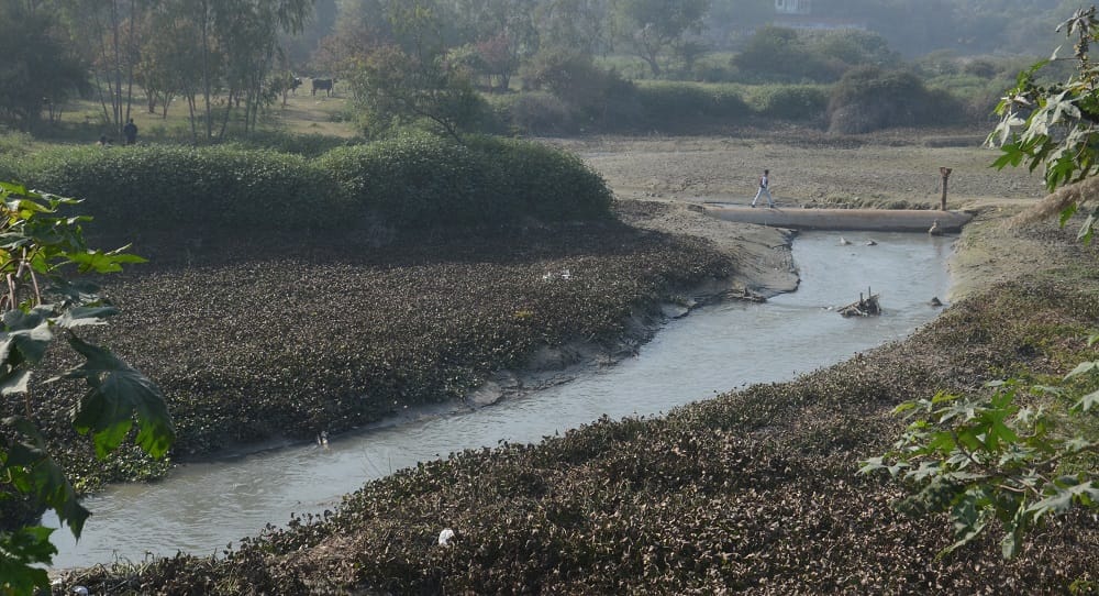 Kanpur Magh Mela open defecation and sewage discharge exposed water samples reveal nitrite contamination