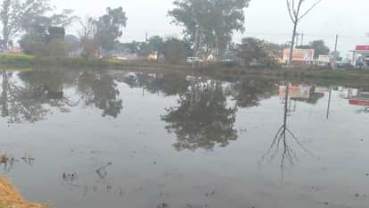 Fear of Crop Damage as Drainage Water Floods Farmlands in Agra SDM Orders Probe