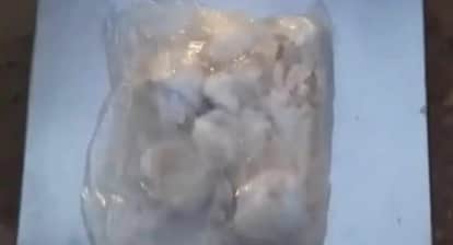 bikaner india pakistan border drone heroin seizure lion mark 2 5 crore bsf police