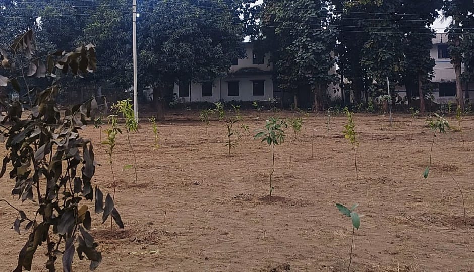 300 saplings were planted on two acres of land at AN Jha Inter College in rudrapur