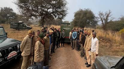 Sawai Madhopur News: Tiger T-2408 Mukundhara Tiger Reserve shift from Ranthambore.