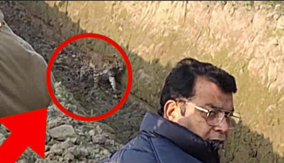 A leopard appeared, and the MLA ran to save his life in rudrapur