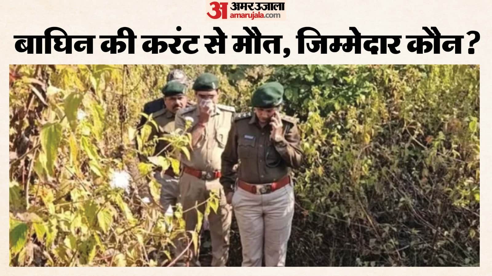 अंजनिया परिक्षेत्र में बाघिन की करंट से मौत, वन विभाग की जांच तेज।