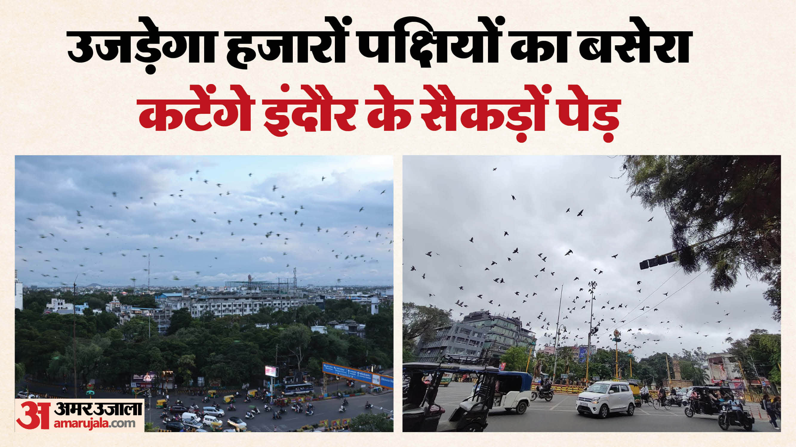 Indore News Citizens protest against cutting of trees for Metro Station at Rani Sarai Regal Square