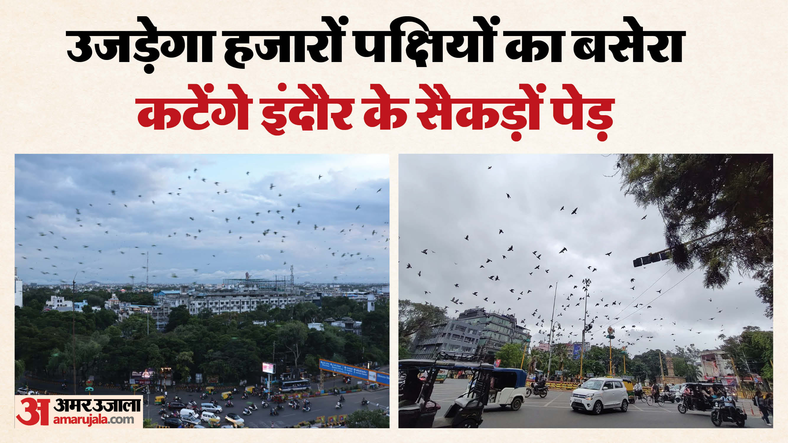 Indore News Citizens protest against cutting of trees for Metro Station at Rani Sarai Regal Square