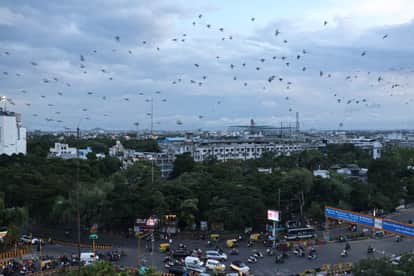 Indore News IMC issues notices for commercial activities in basements instead of parking