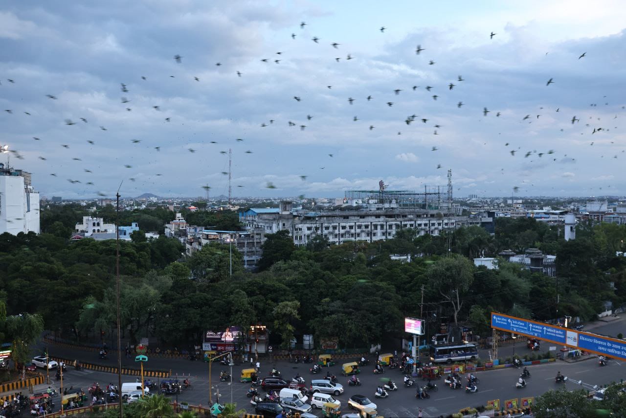 Indore News Citizens protest against cutting of trees for Metro Station at Rani Sarai Regal Square