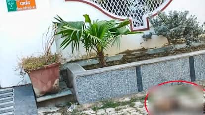 Lucknow: A cow's head was found outside the house of a BJP councilor; Hindu organizations arrived... Police sa