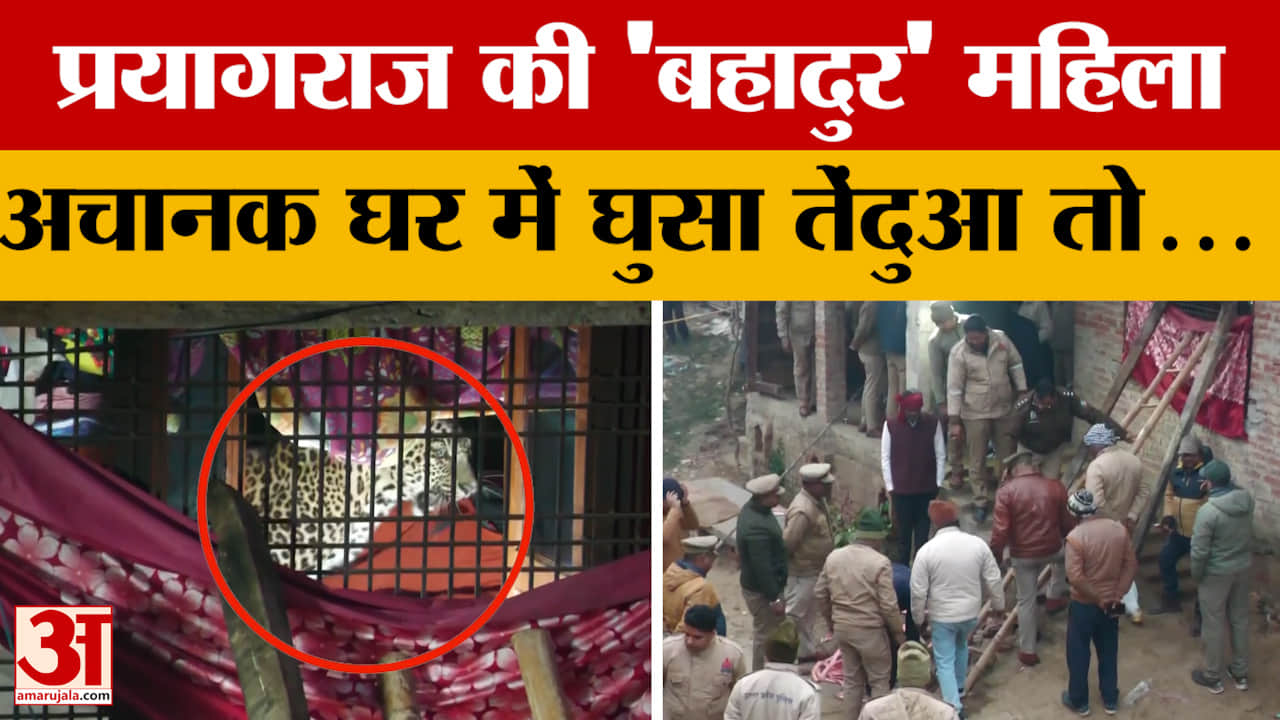 Prayagraj की 'बहादुर' महिला, अपनी सूझबूझ से घर में तेंदुए को किया कैद