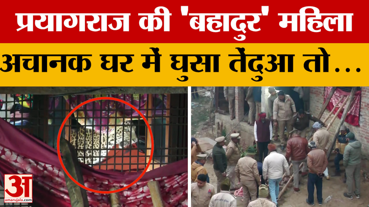 Prayagraj की 'बहादुर' महिला, अपनी सूझबूझ से घर में तेंदुए को किया कैद