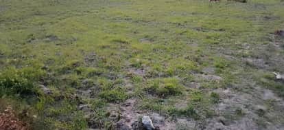 Uttarakhand: Neither rain nor snowfall lack of precipitation is starting to have a severe impact on the state'