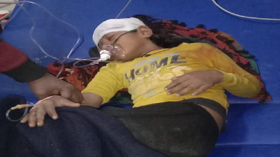 Nine-year-old girl falls from roof due to fear of monkeys, critical