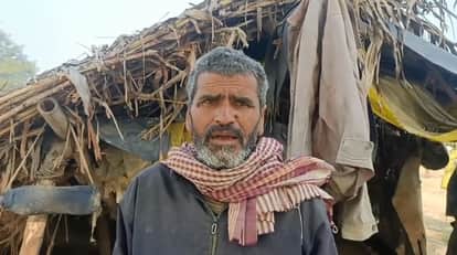 Kanpur Elderly farmer held hostage four buffaloes stolen tied up with muffler at gunpoint police investigating