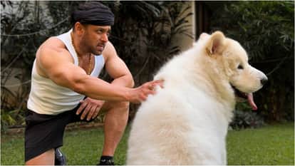 Battle Of Galwan star Salman Khan Flaunts his Fitness in recent photos Netizens Reacts On actor transformation