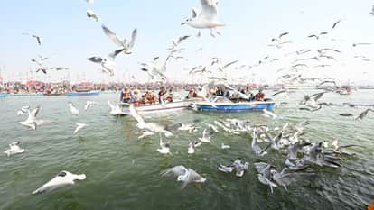 Prayagraj Weather: Nights are cold in Prayagraj, the mercury has risen by four degrees due to bright sunshine
