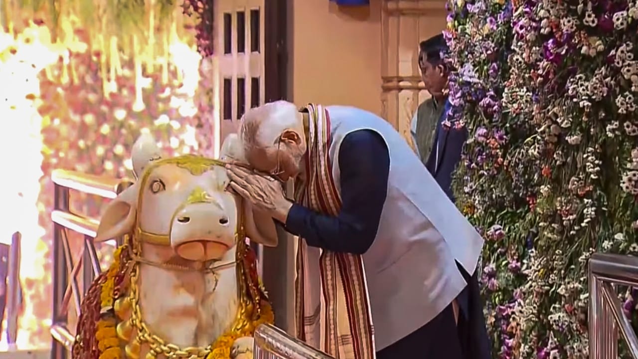 PM Modi in Somnath Photos: Shaurya Yatra with 108 Horses; Pays Tribute and Offers Puja