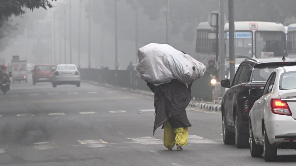 रविवार सुबह चंडीगढ़ में धुंध के बीच गुजरते वाहन और राहगीर।