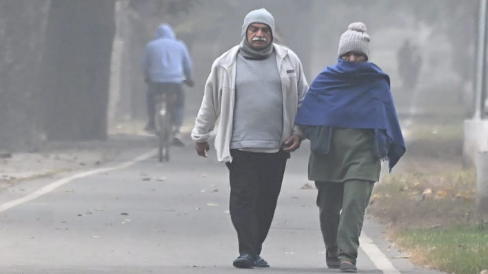 Fog in Chandigarh Bathinda is coldest city in Punjab weather news see video